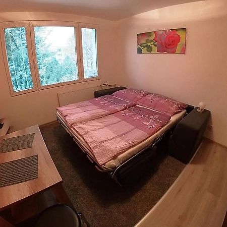 Apartamento Garsonka Hliník Třeboň Exterior foto