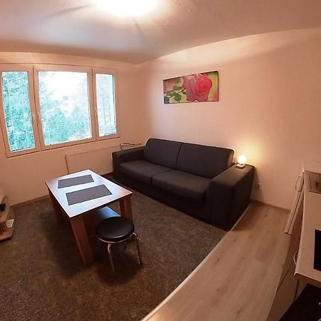 Apartamento Garsonka Hliník Třeboň Exterior foto