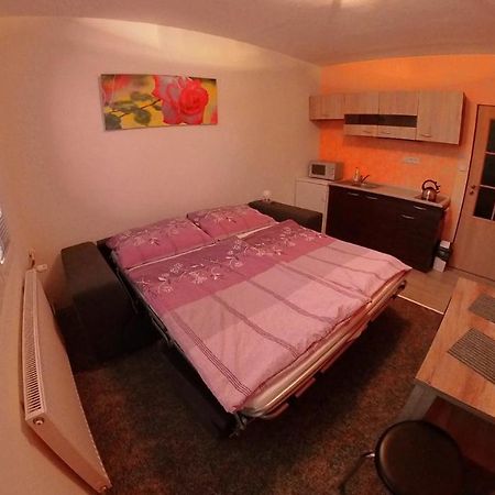 Apartamento Garsonka Hliník Třeboň Exterior foto