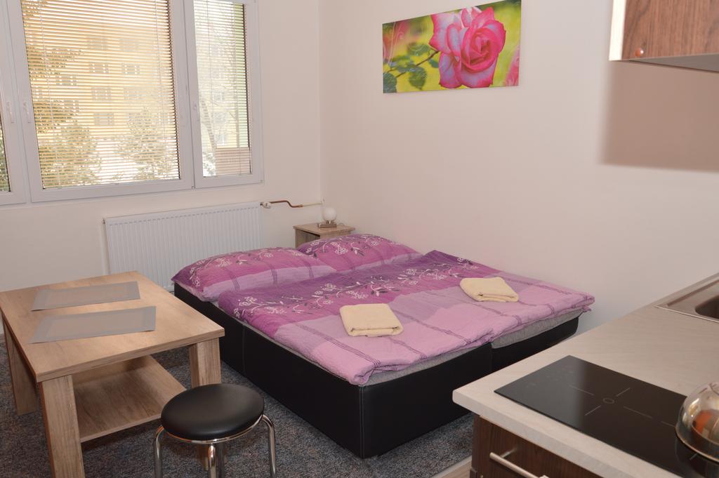 Apartamento Garsonka Hliník Třeboň Exterior foto